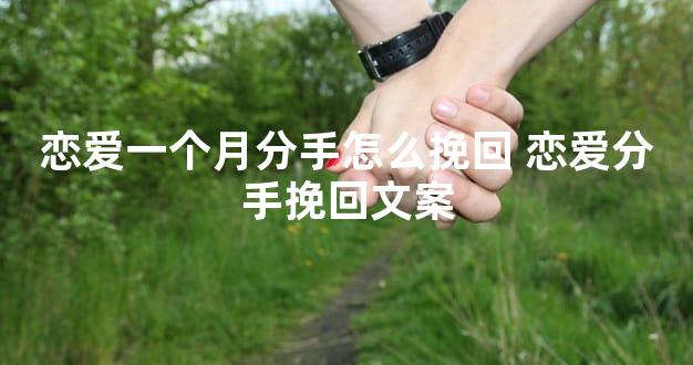 恋爱一个月分手怎么挽回 恋爱分手挽回文案